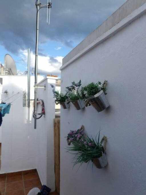 Letsmalaga - Lovely Studio In Malaga Centre المظهر الخارجي الصورة